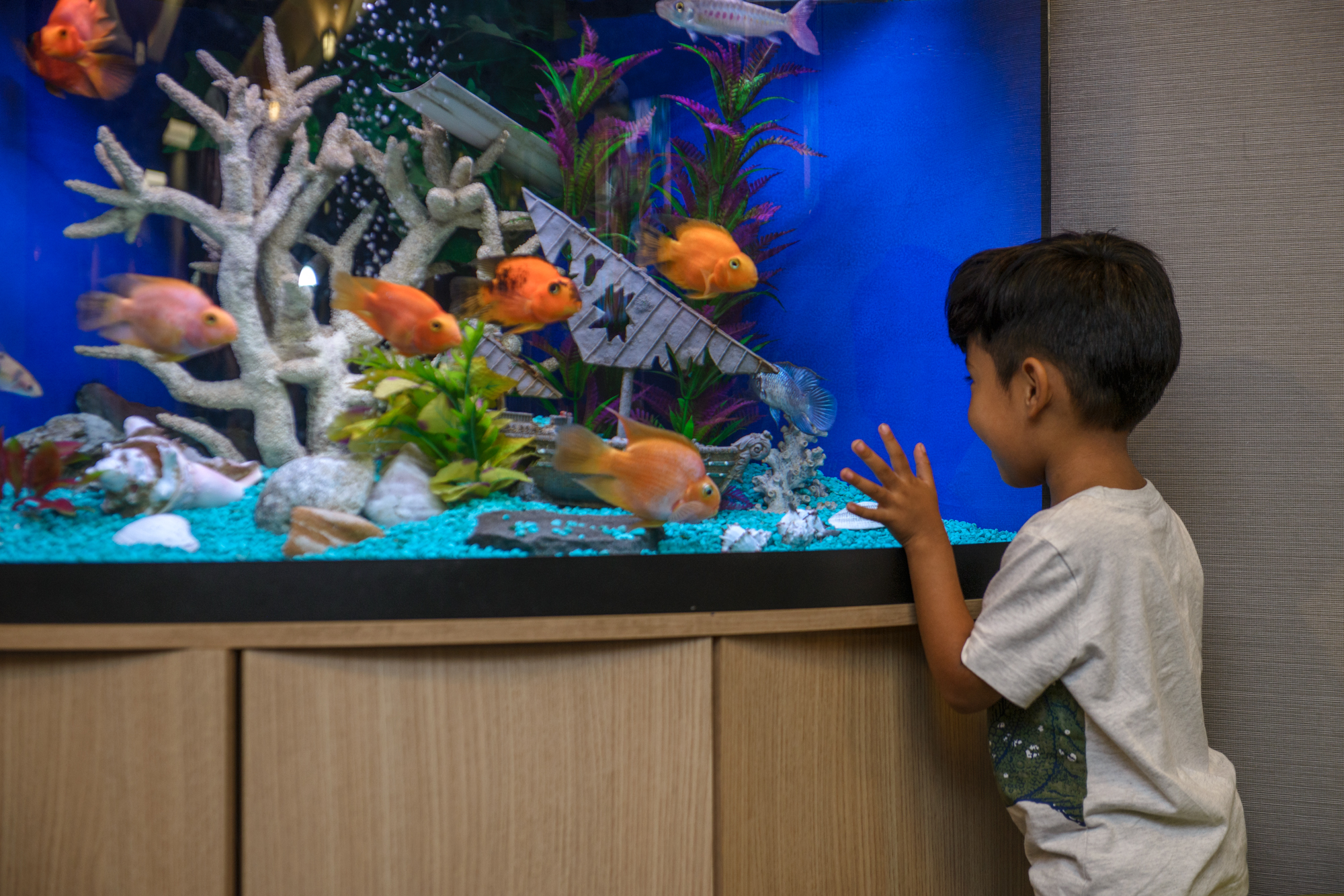 About Us University Diagnostic Medical Imaging